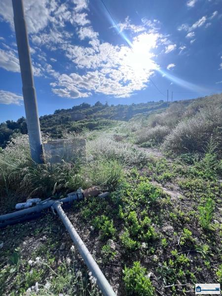 PHOTO-2025-07-09-11-42-40 (3).jpg